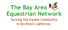 The Bay Area Equestrian Network